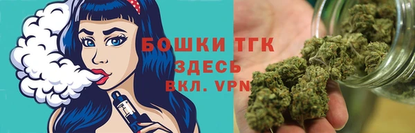 прущие грибы Абаза