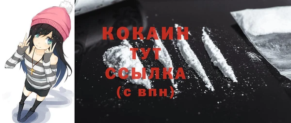 прущие грибы Абаза