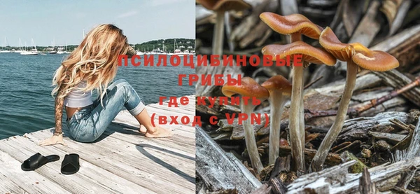 а пвп мука Абдулино