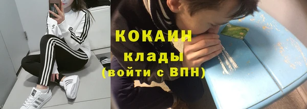 мдпв Краснослободск