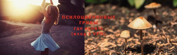 бошки Абинск