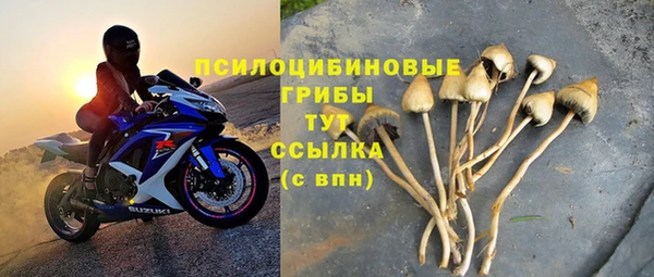 бошки Абинск