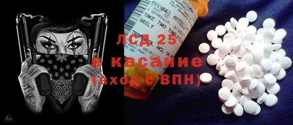 прущие грибы Абаза