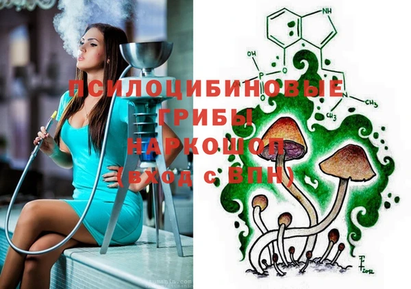 прущие грибы Абаза